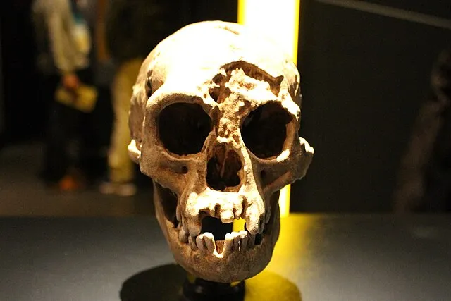 Emőke Dénes on Wikimedia Commons