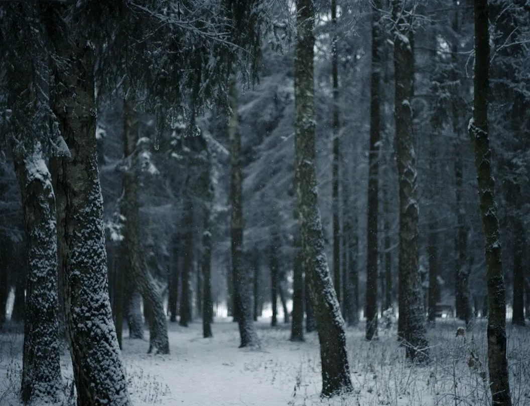 Anastasiya Leskova from Unsplash