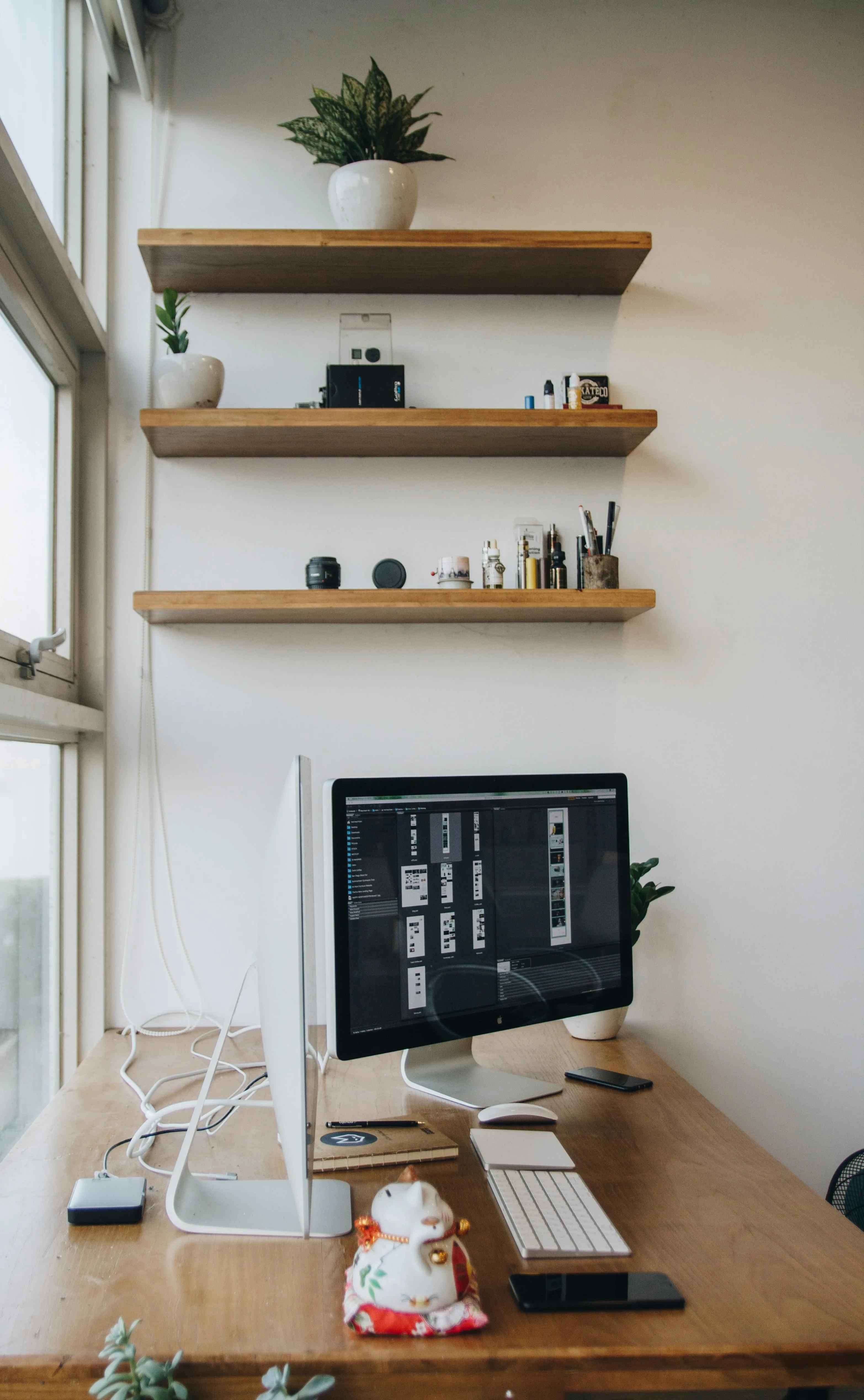 Tranmautritam on Pexels