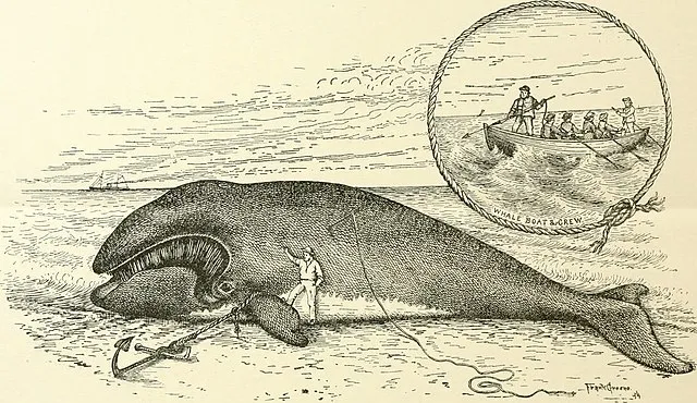 Frank Green on Wikimedia Commons