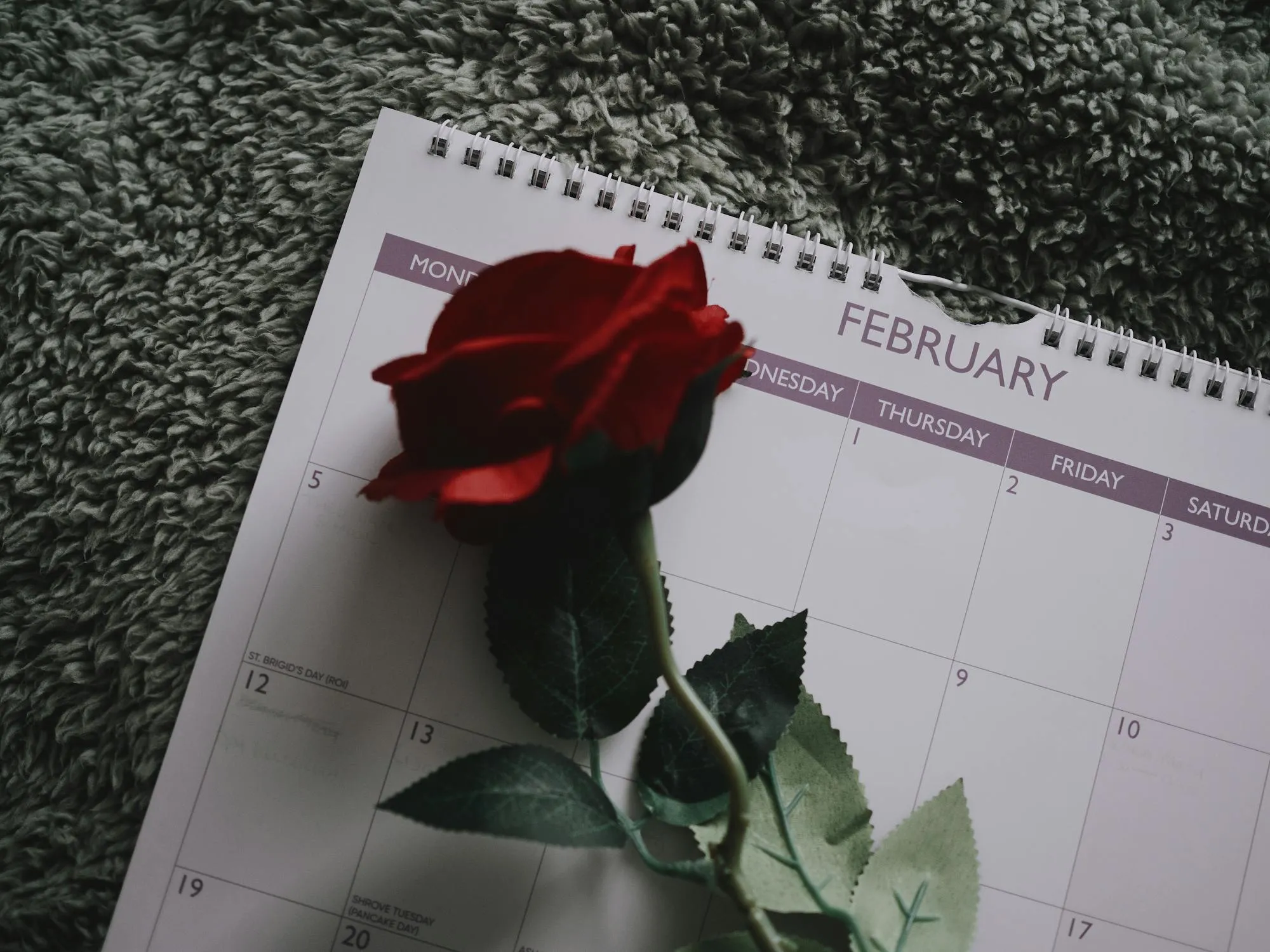 20 Interesting Facts About February 9 in History