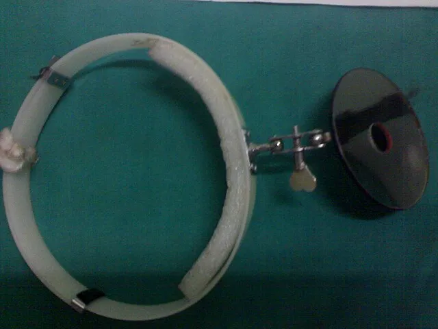 Sarindam7 on Wikimedia Commns