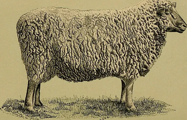 Internet Archive Book Images on Wikimedia Commons