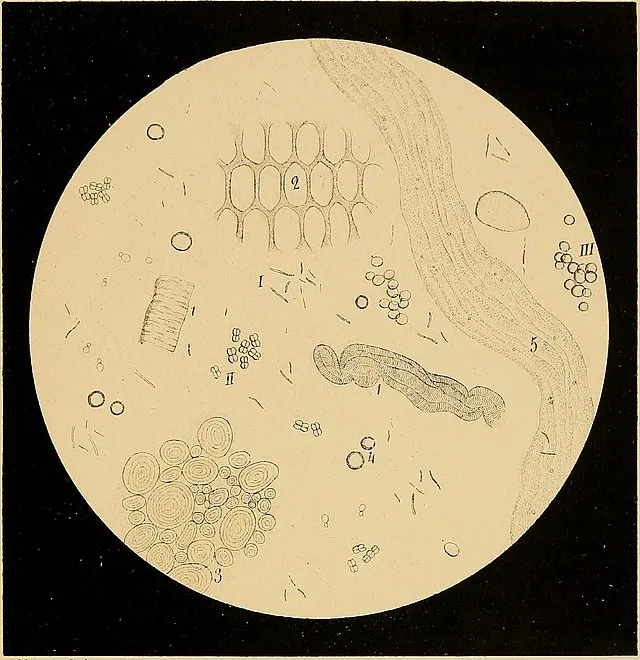 Internet Archive Book Images on Wikimedia Commons