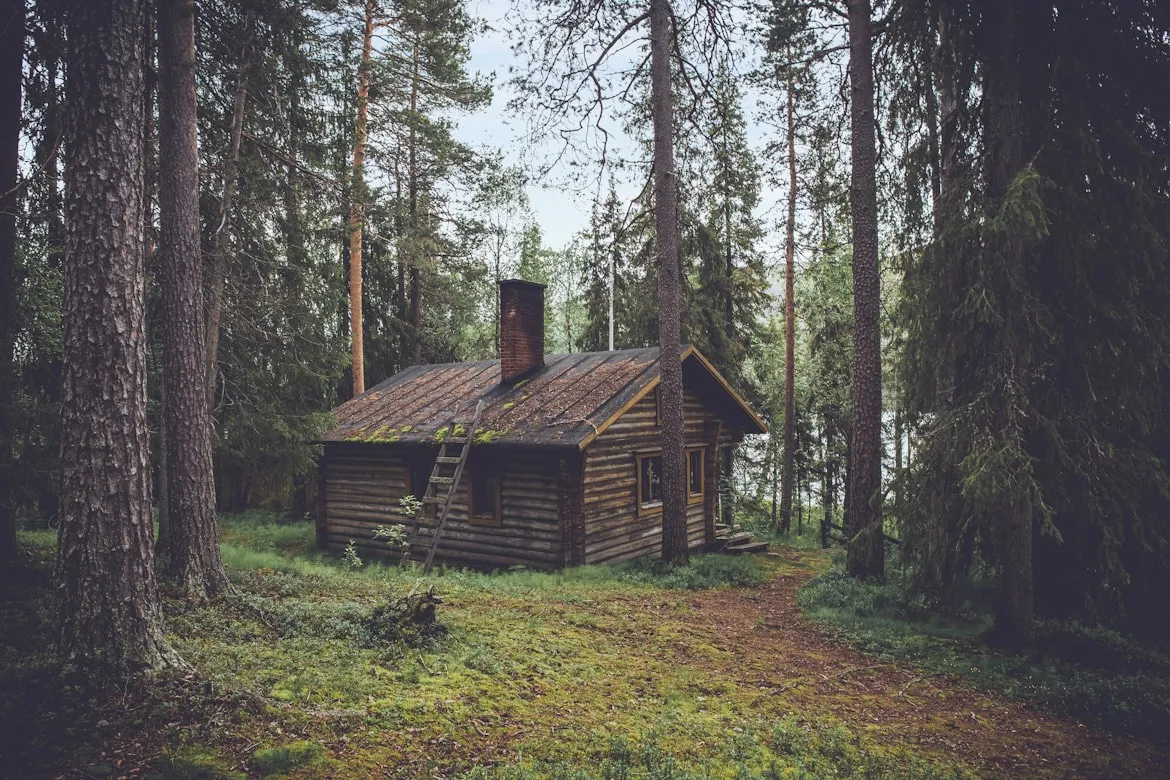 Olivier Guillard on Unsplash