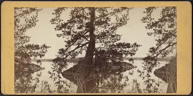 McIntyre, A. C. -- Photographer on wikimedia