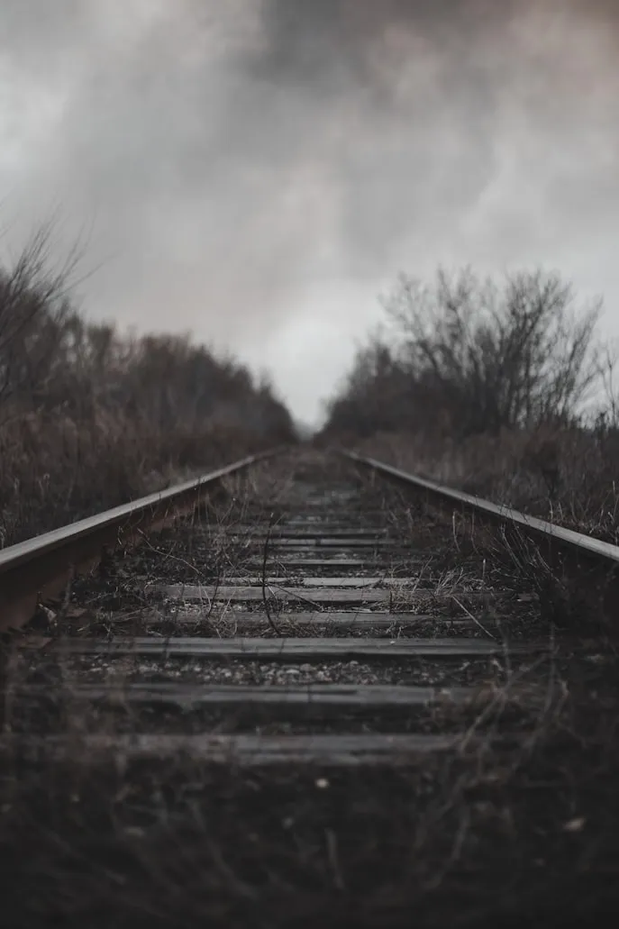 Ilya Mirnyy on Unsplash