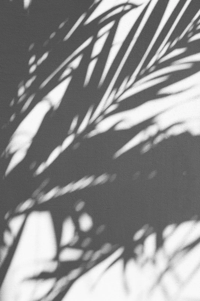 Augustine Wong from Unsplash