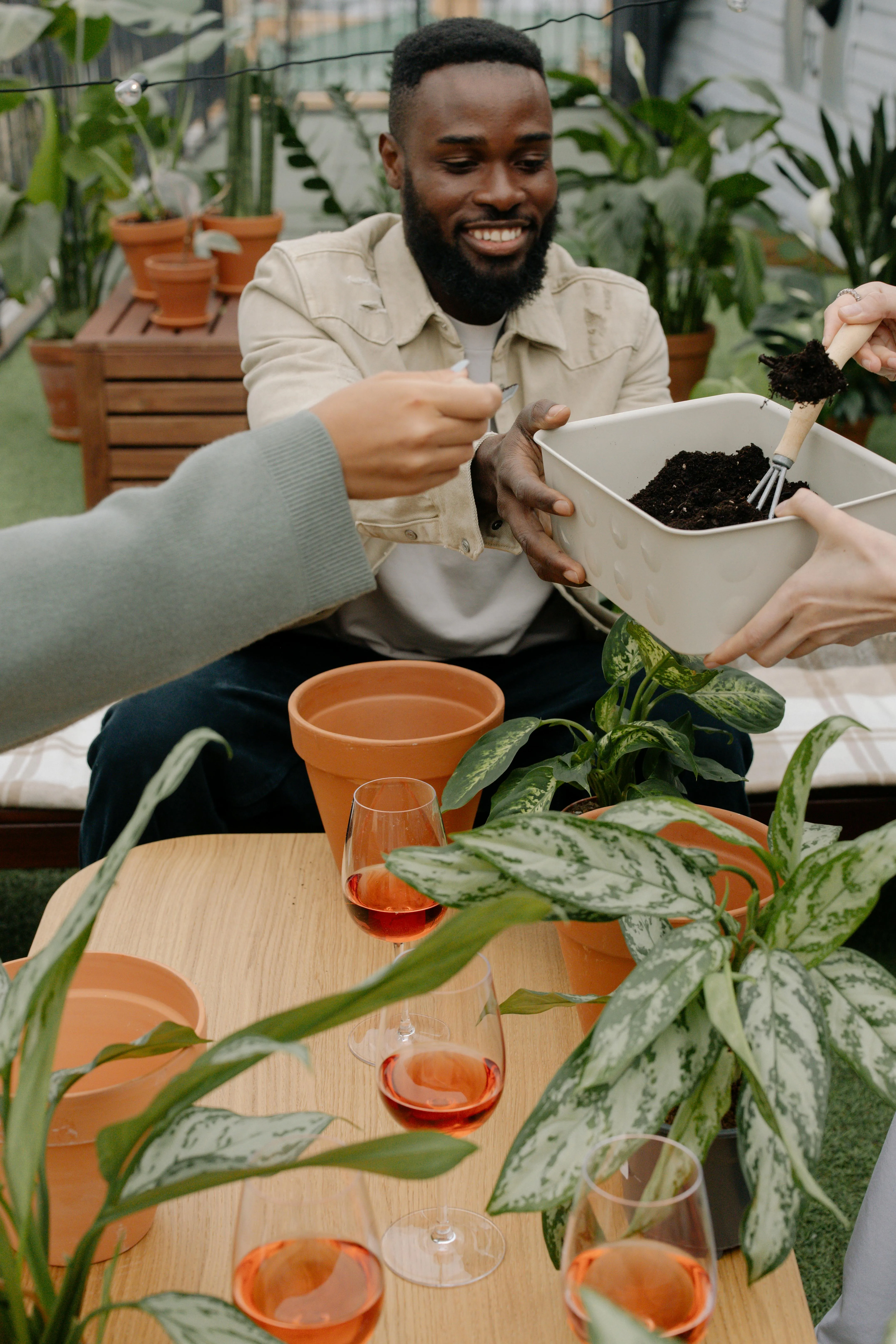 cottonbro studio on pexels