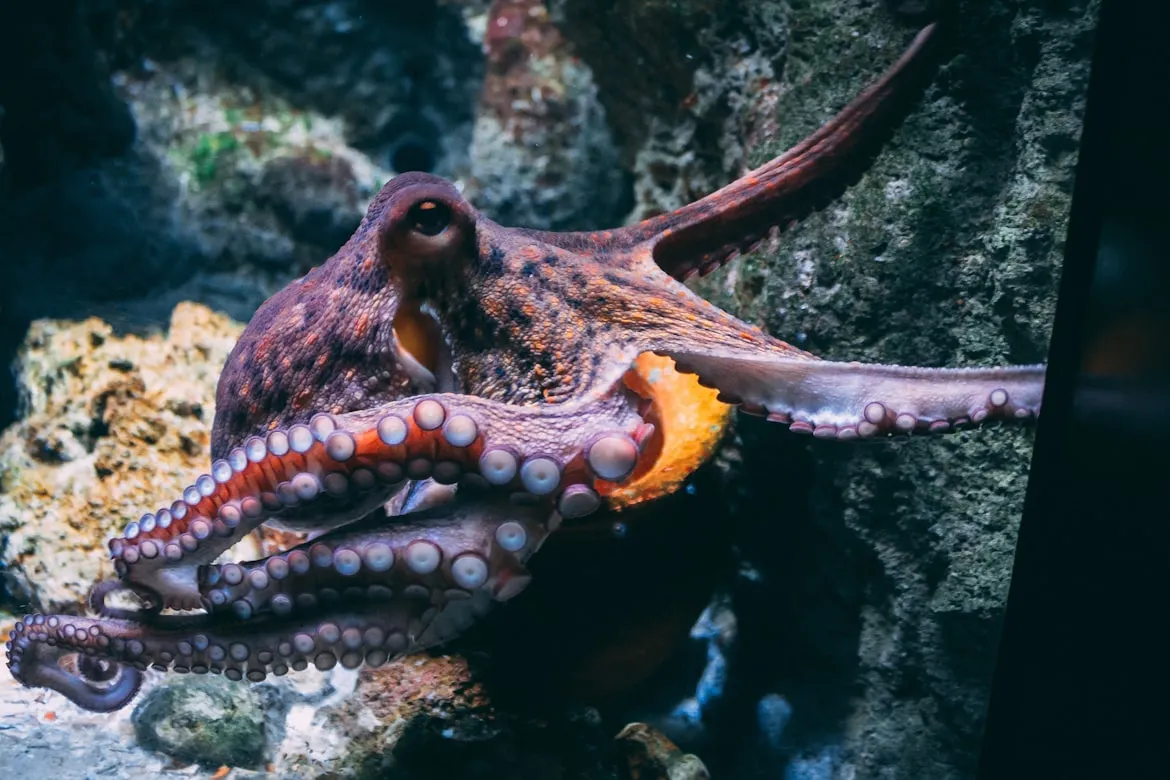 Diane Picchiottino on Unsplash