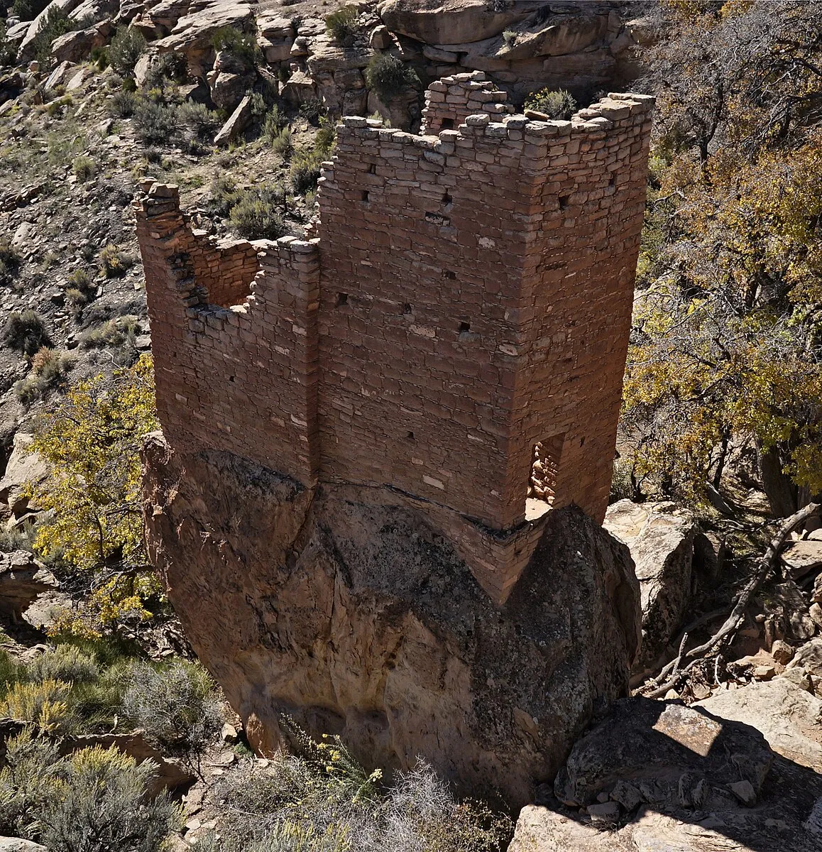 Thomas Holt Ward on Wikimedia Commons