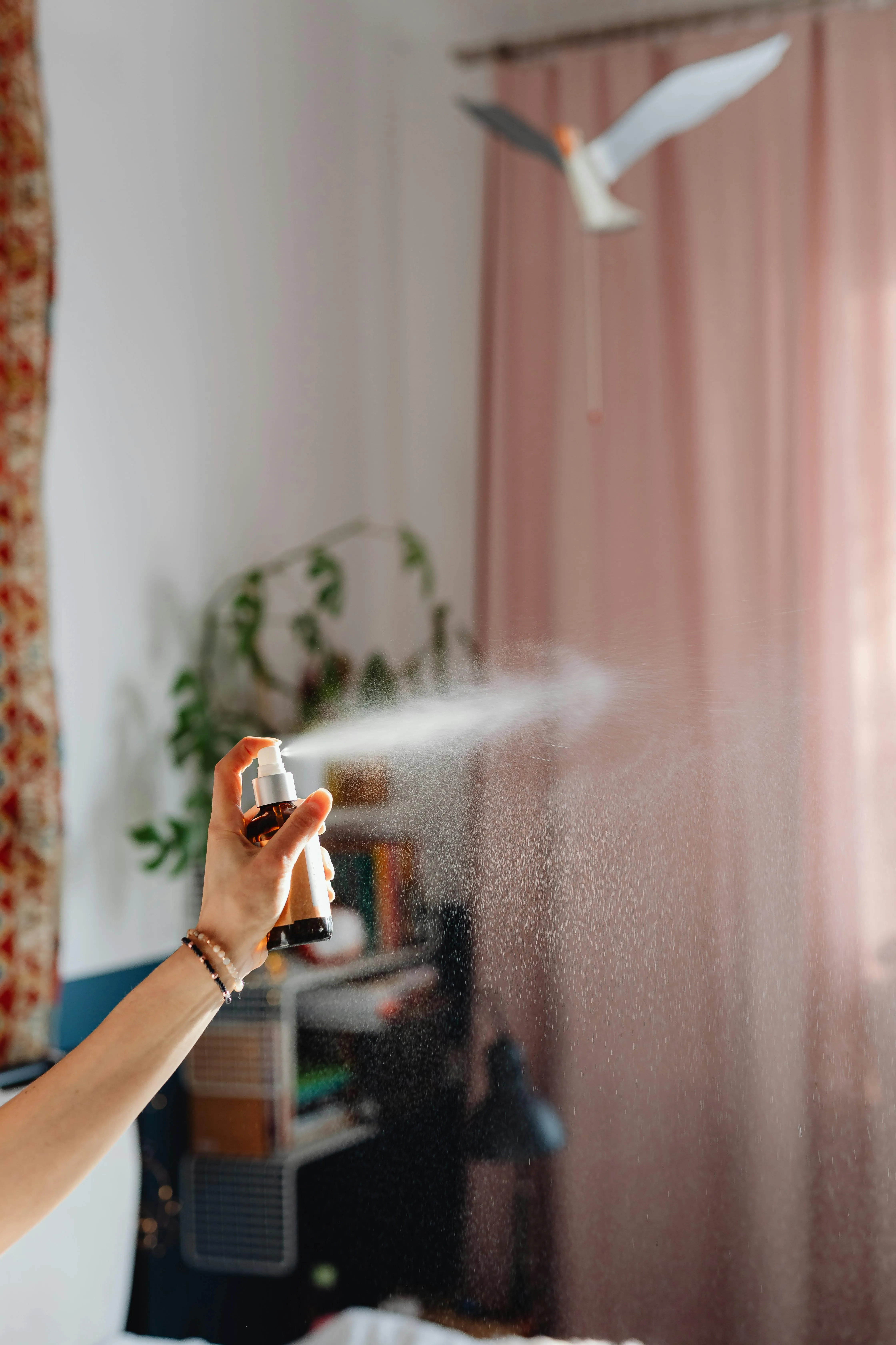 aboompics.com on Pexels