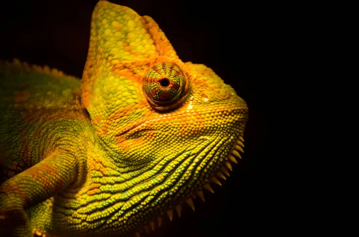 Jesper Aggergaard on Unsplash