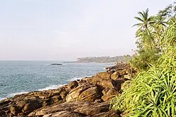 Image from Wikipedia