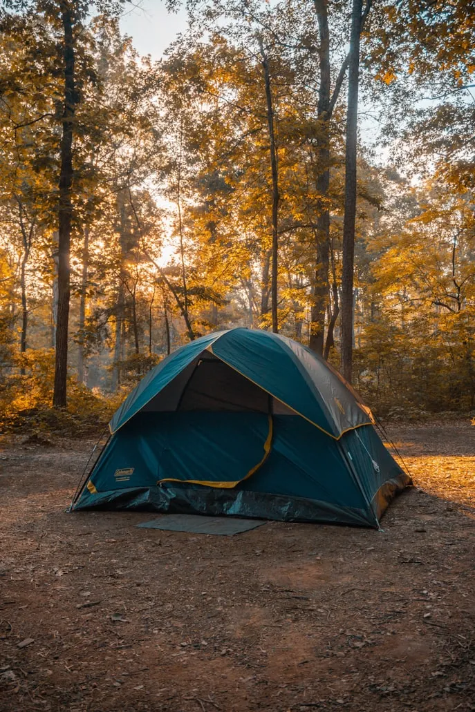 Triston Dunn from Unsplash