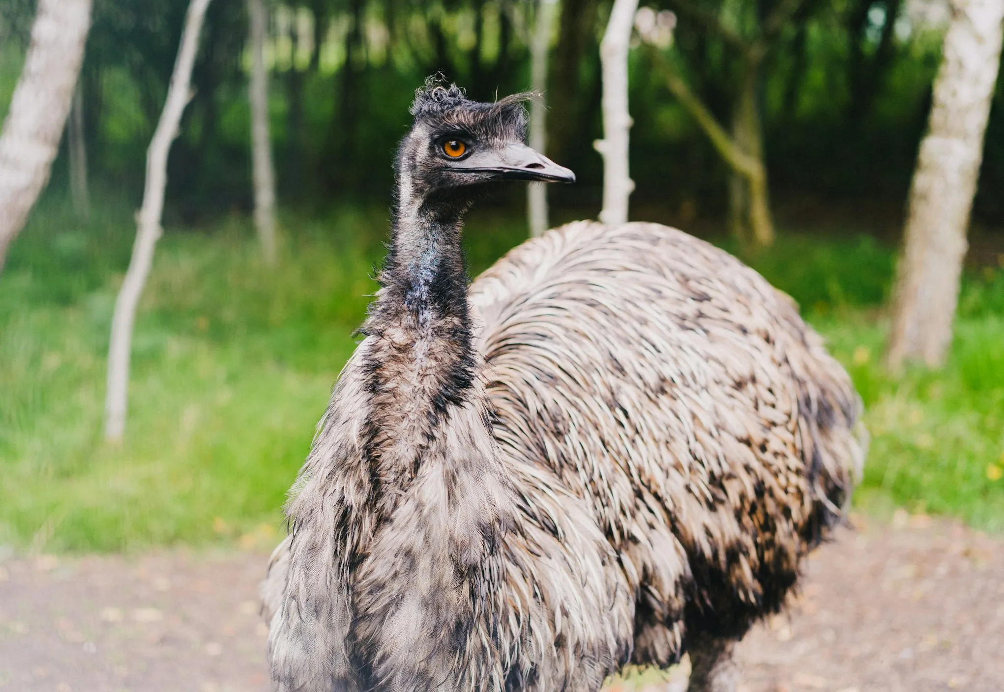 Melissa Keizer on Unsplash