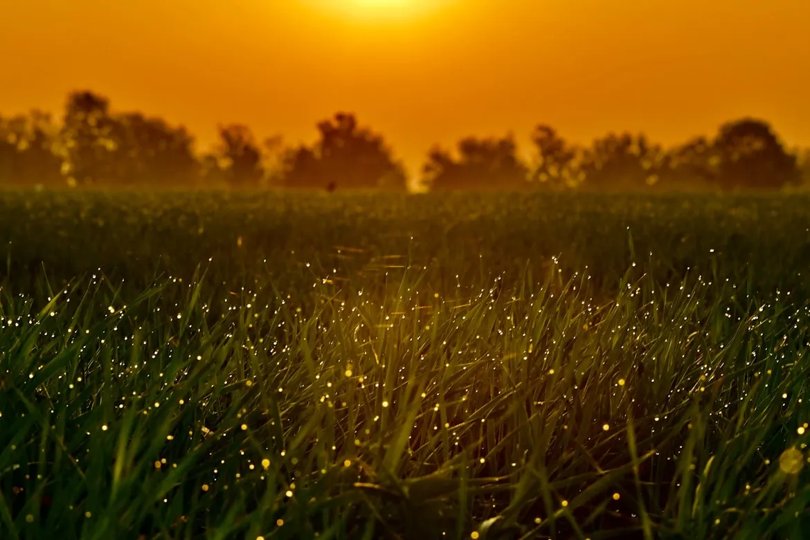 Rajesh Rajput from Unsplash