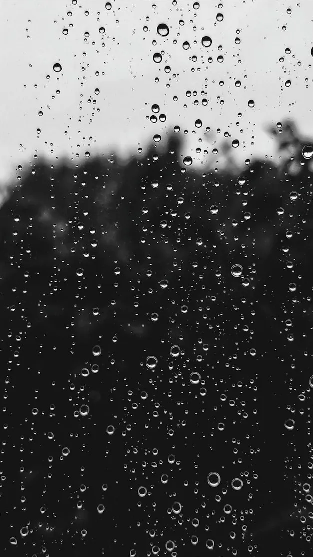 Nick Nice from Unsplash