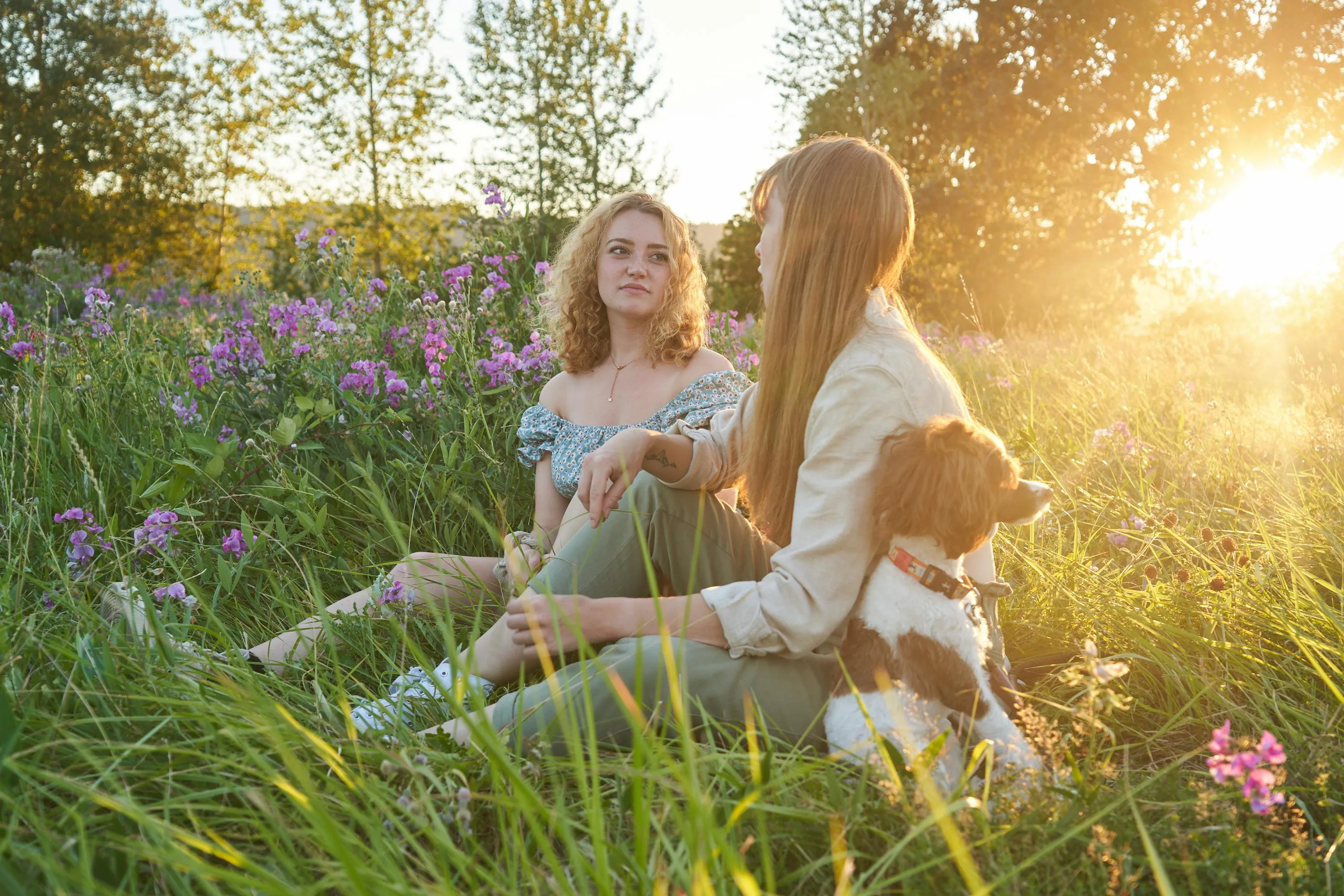 ArtHouse Studio on Pexels