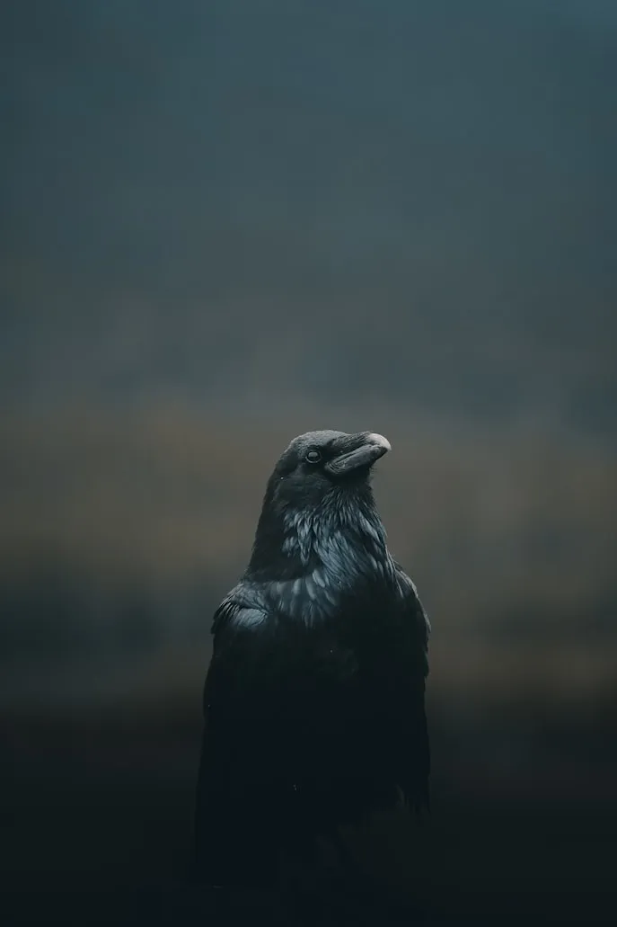 Kevin Mueller on Unsplash