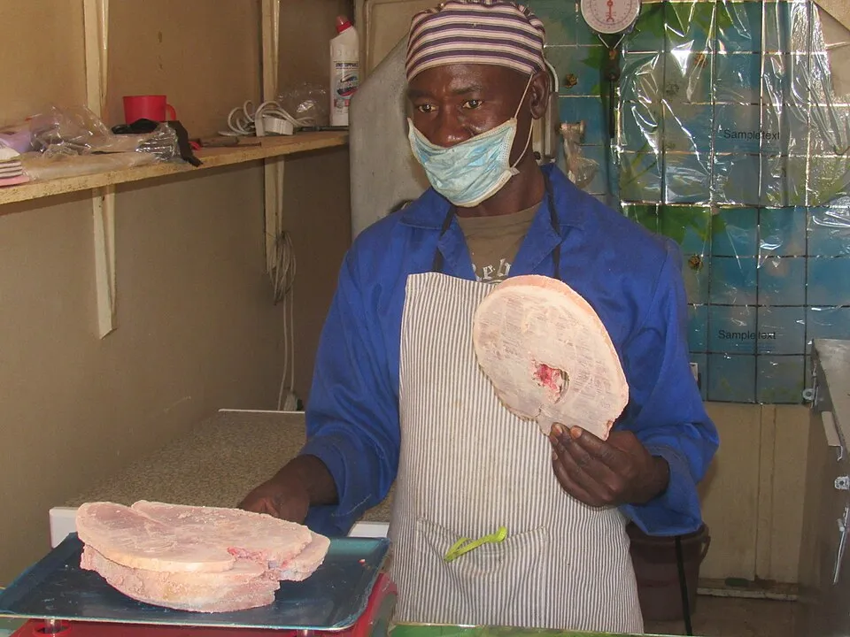 Cecil Dzwowa on Wikicommons