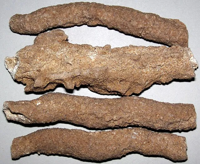 James St. John on Wikimedia Commons