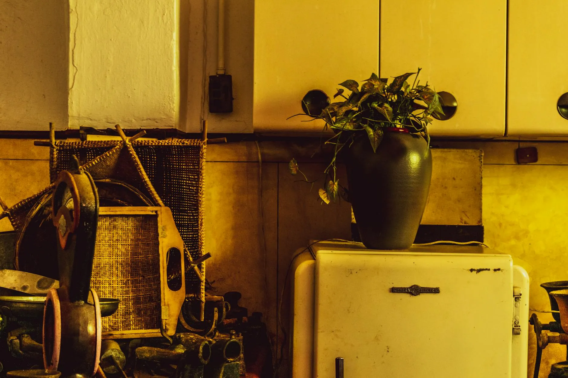 Juliana Polizel on Pexels
