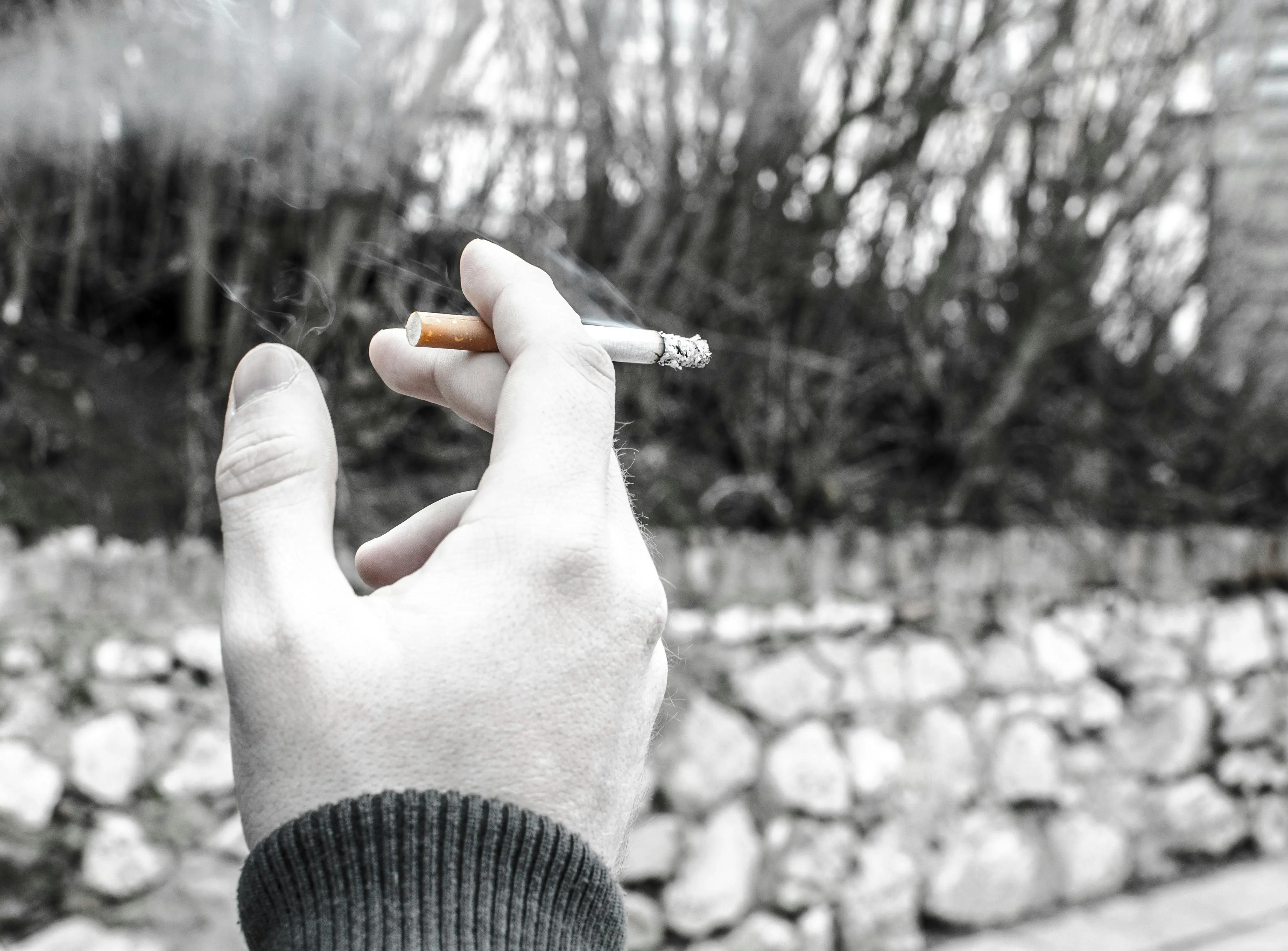 Lukas Blazek on Pexels