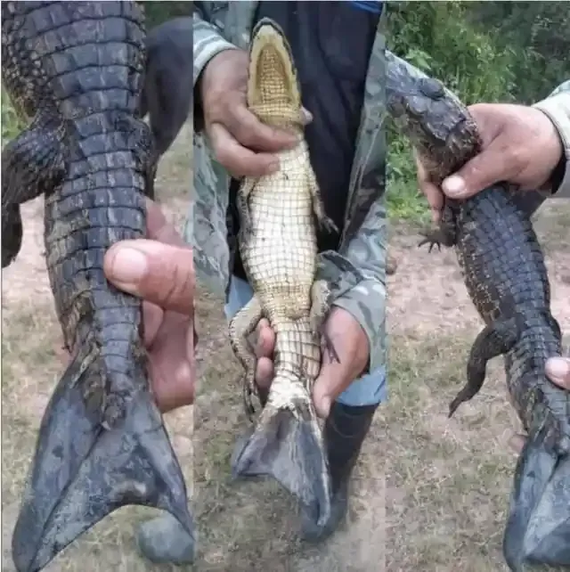 source: reddit