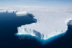 Image from Scientific American