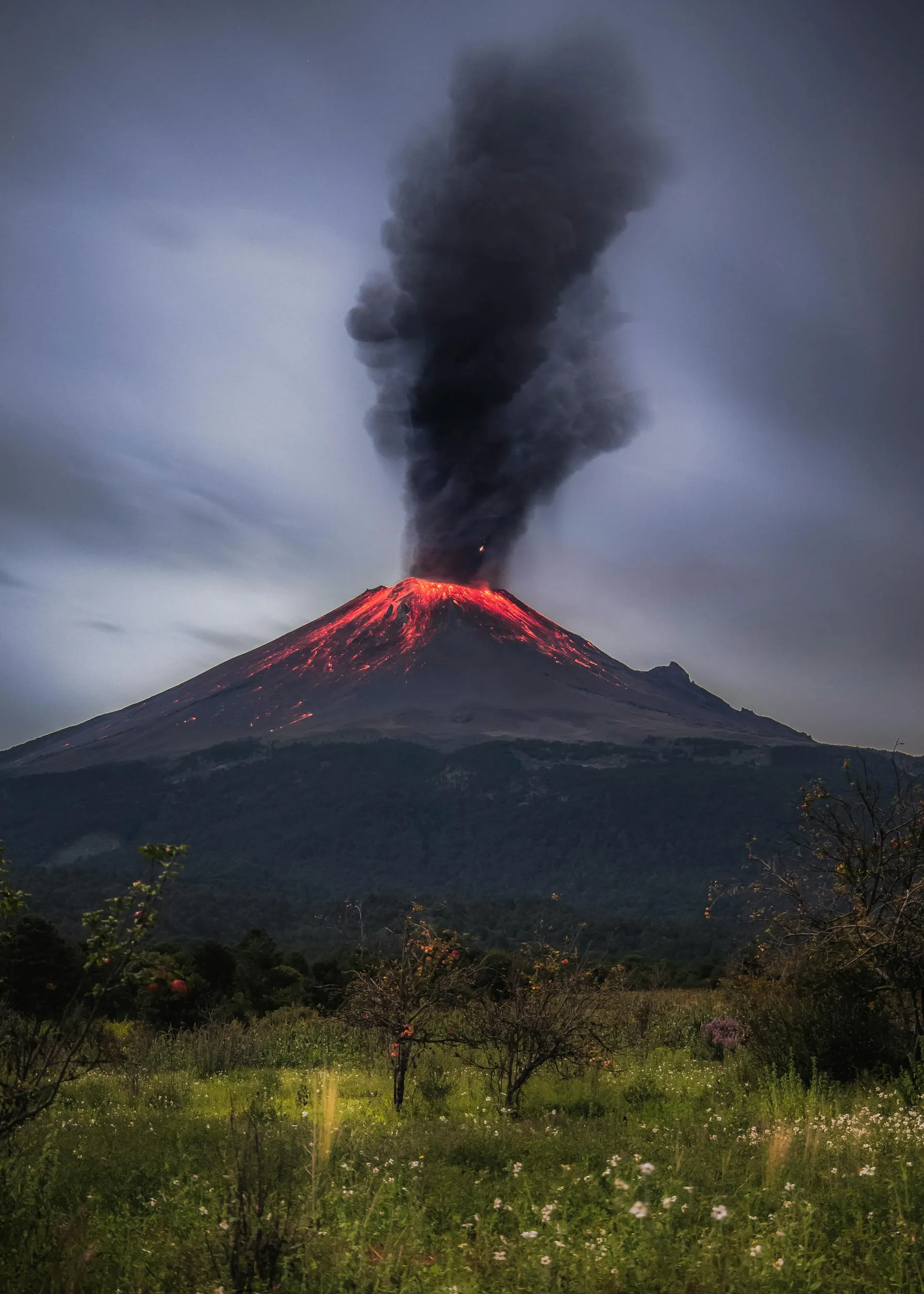 Felipe Perez on pexels