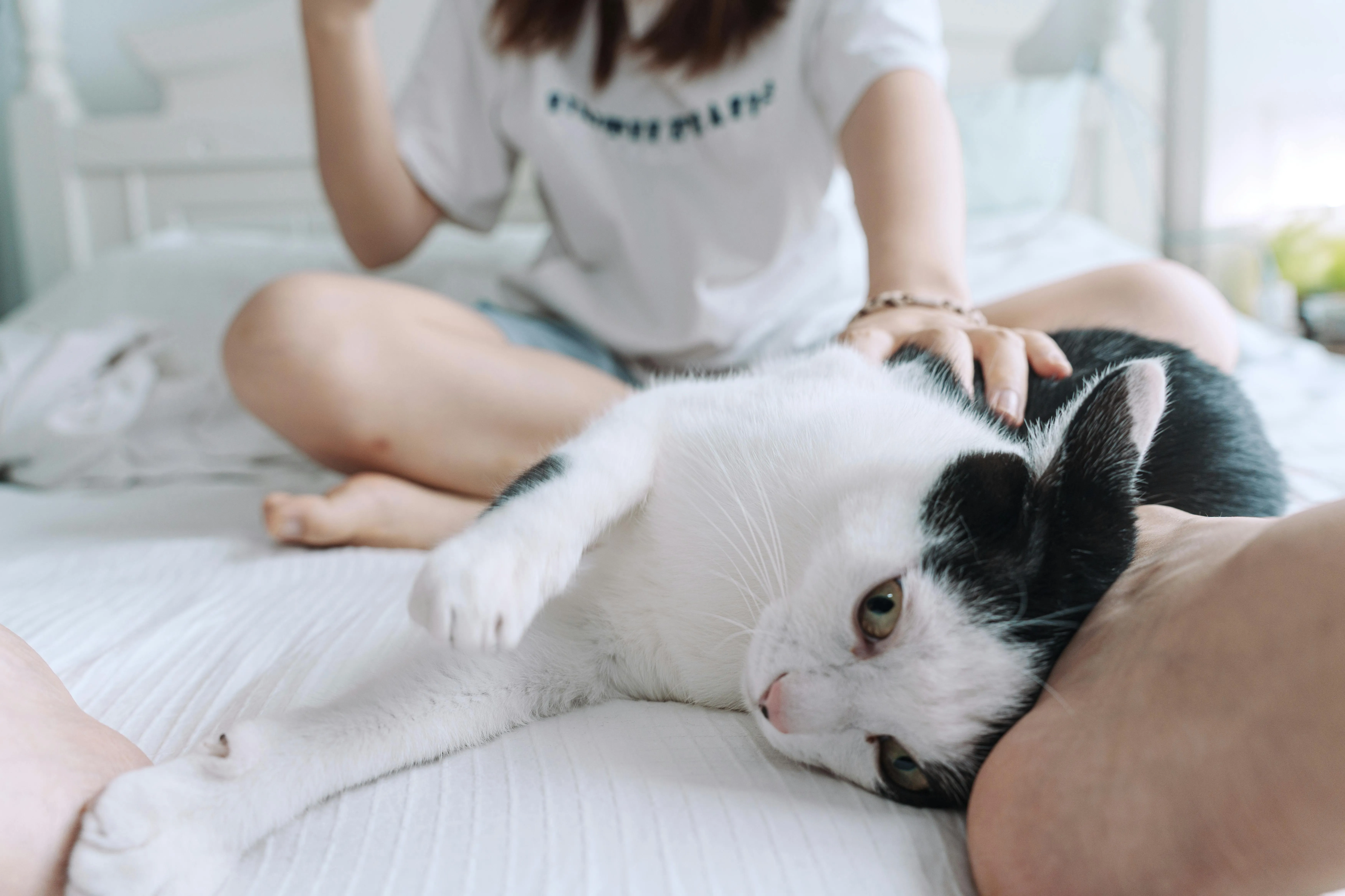 JUNLIN ZOU on Pexels