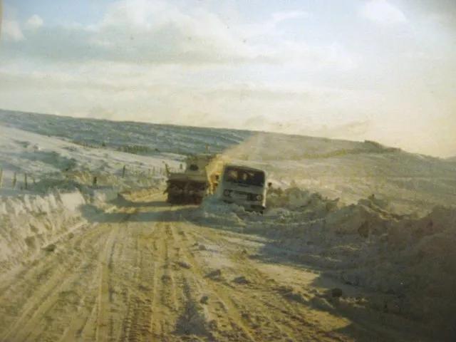 Paul Anderson on Wikimedia Commons