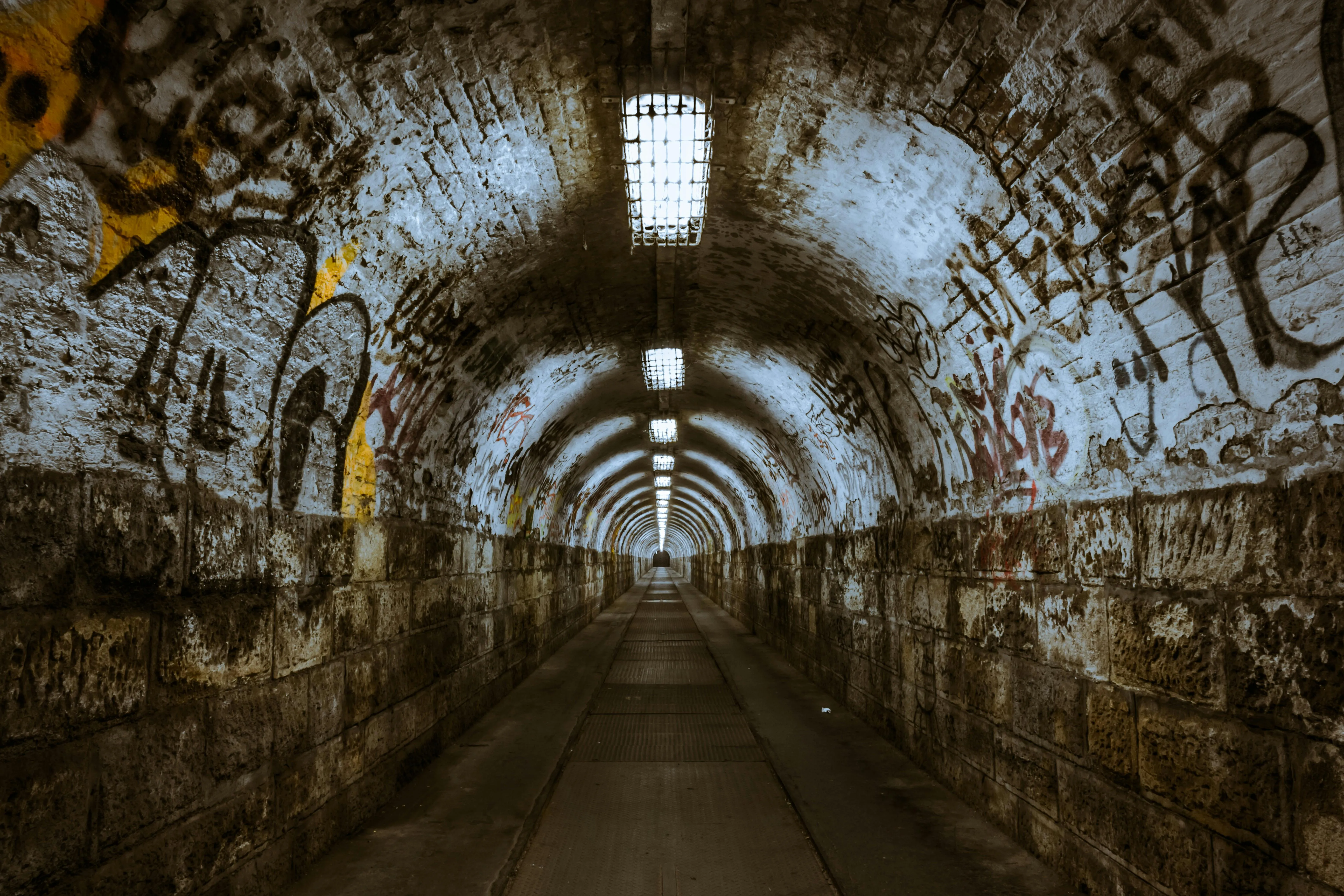 Pixabay on Pexels