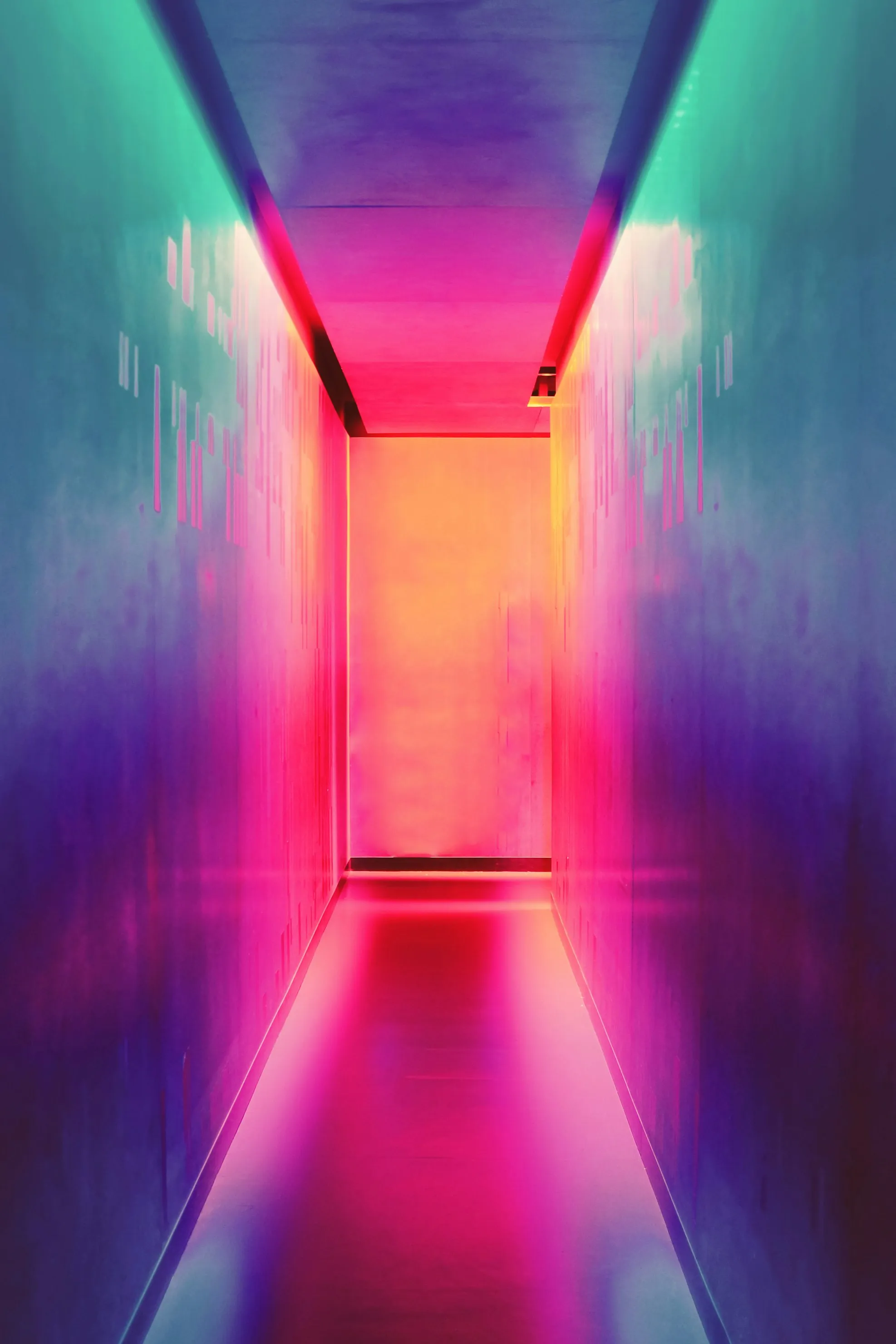 Efe Kurnaz from Unsplash