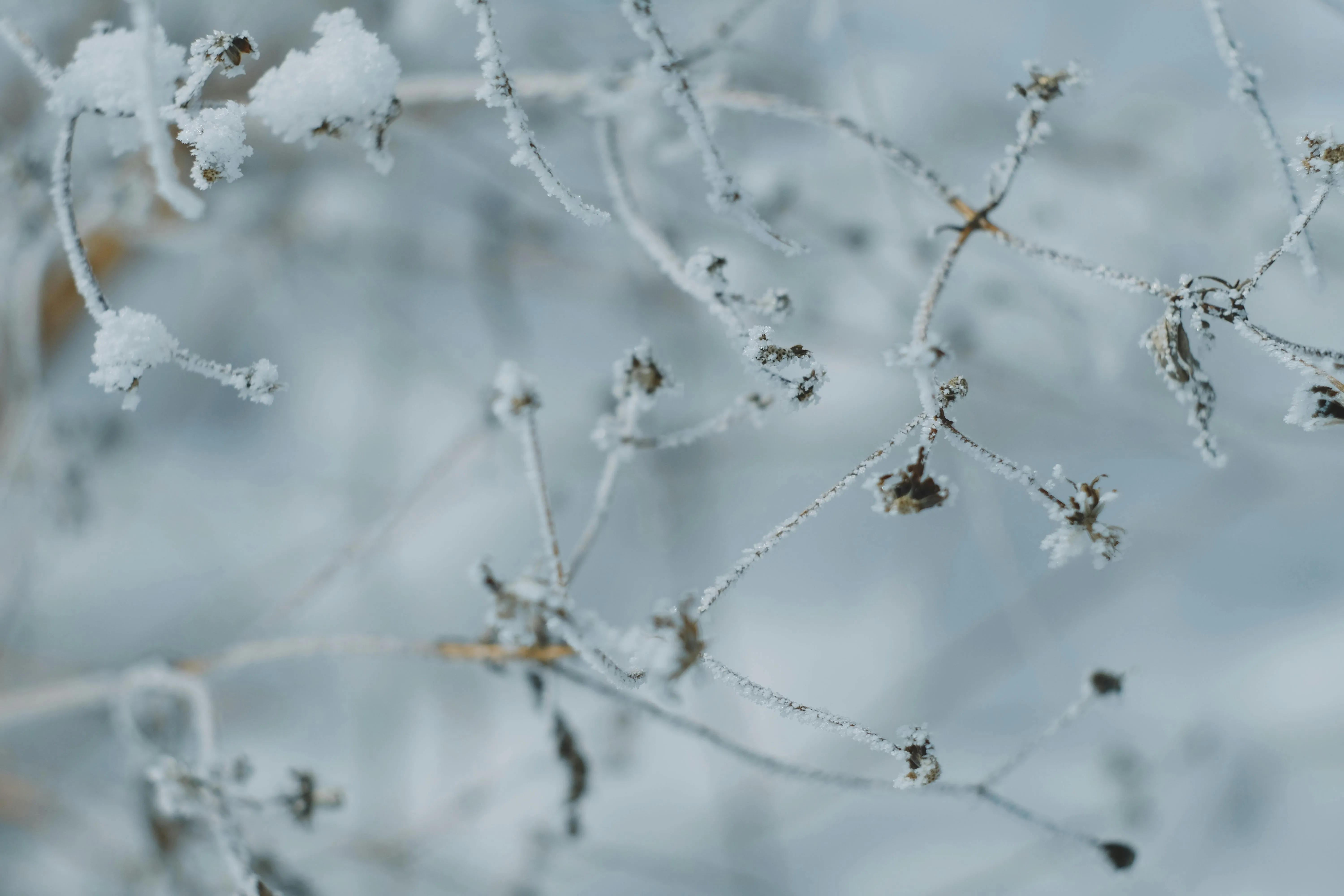Nadezhda Moryak on Pexels