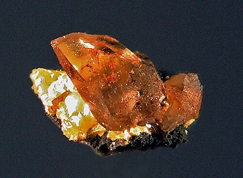 Image from Wikipedia