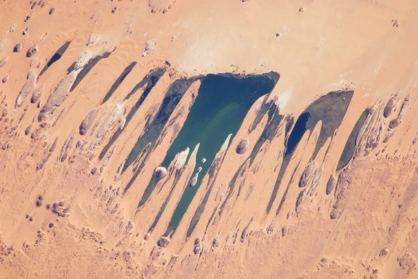 Image from NASA Science