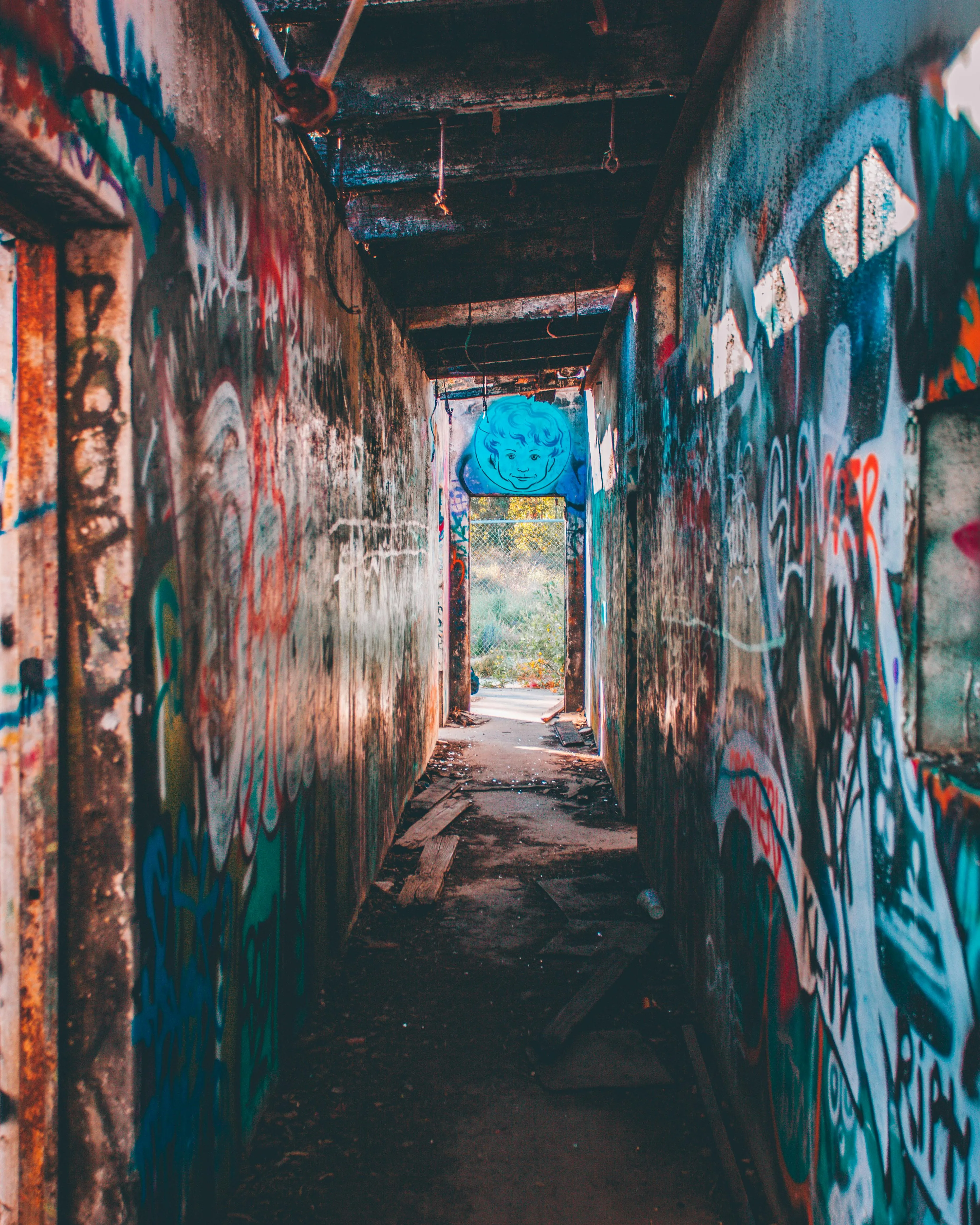 Alex Montes on Pexels
