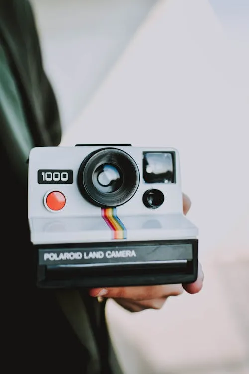 lil artsy on Pexels