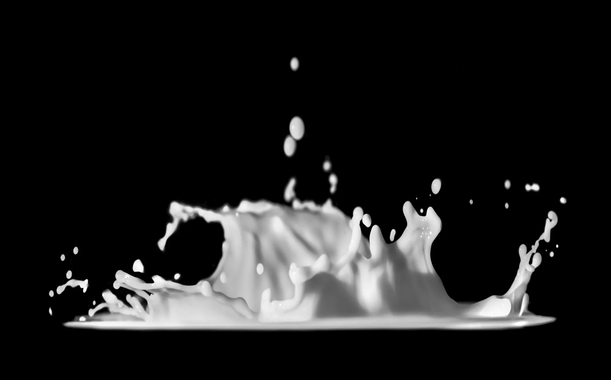 Daniel Sinoca from Unsplash