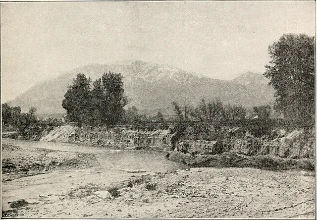 Internet Archive Book Images on Wikimedia Commons