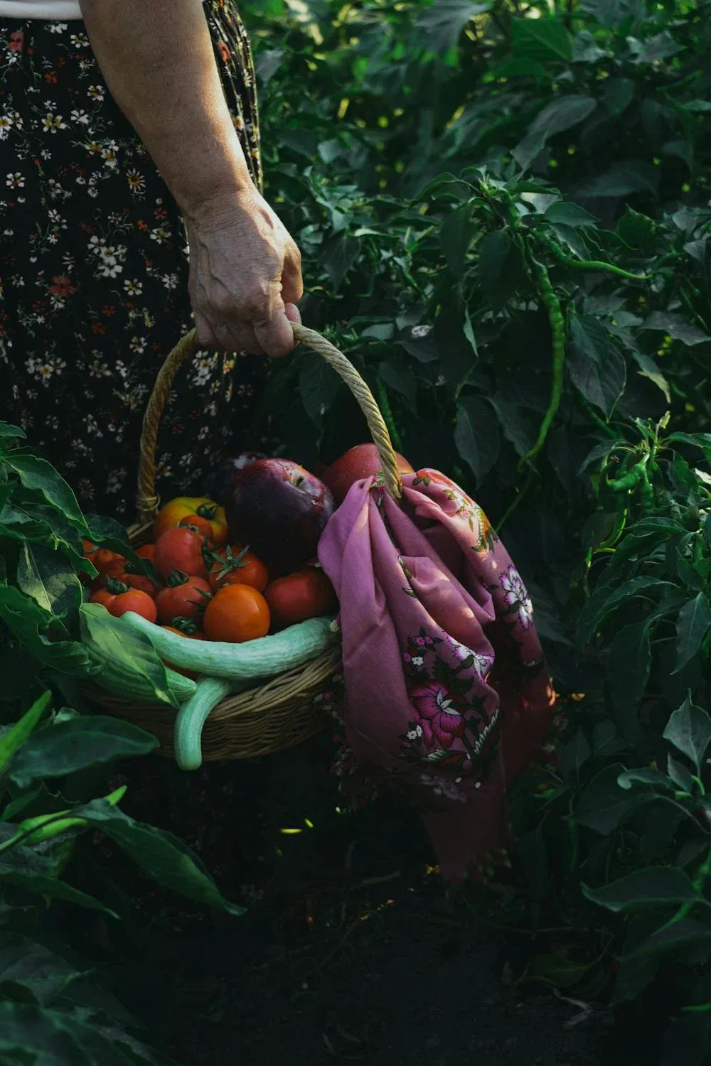 Bade Saba on Pexels