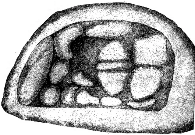 N.N. on wikimedia