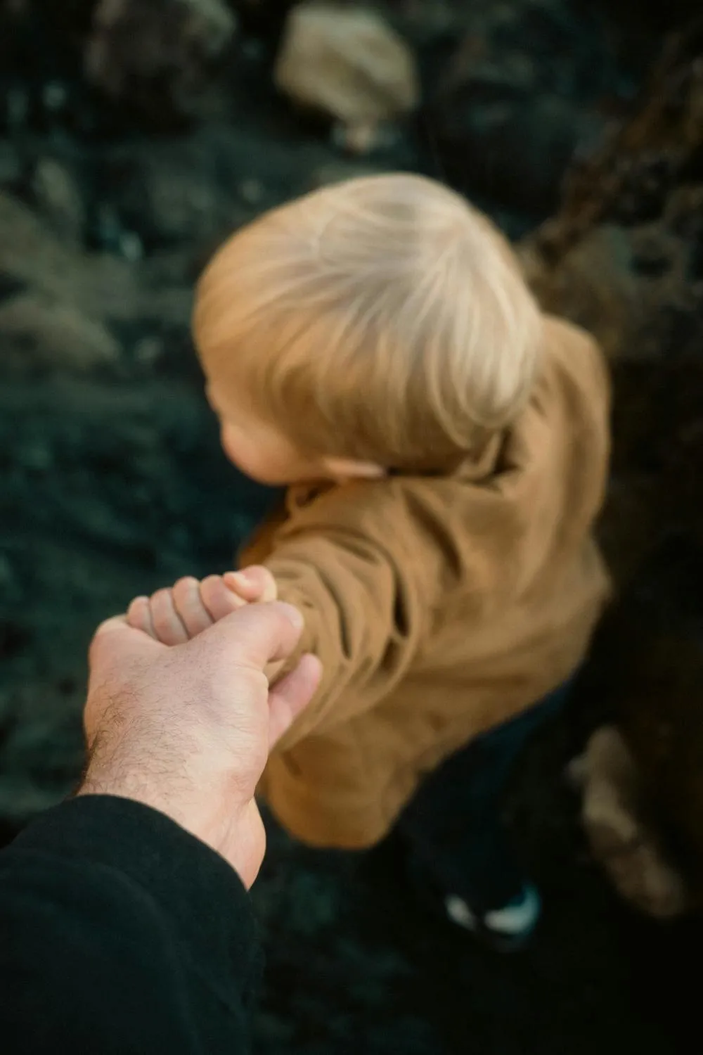 James Collington on Pexels