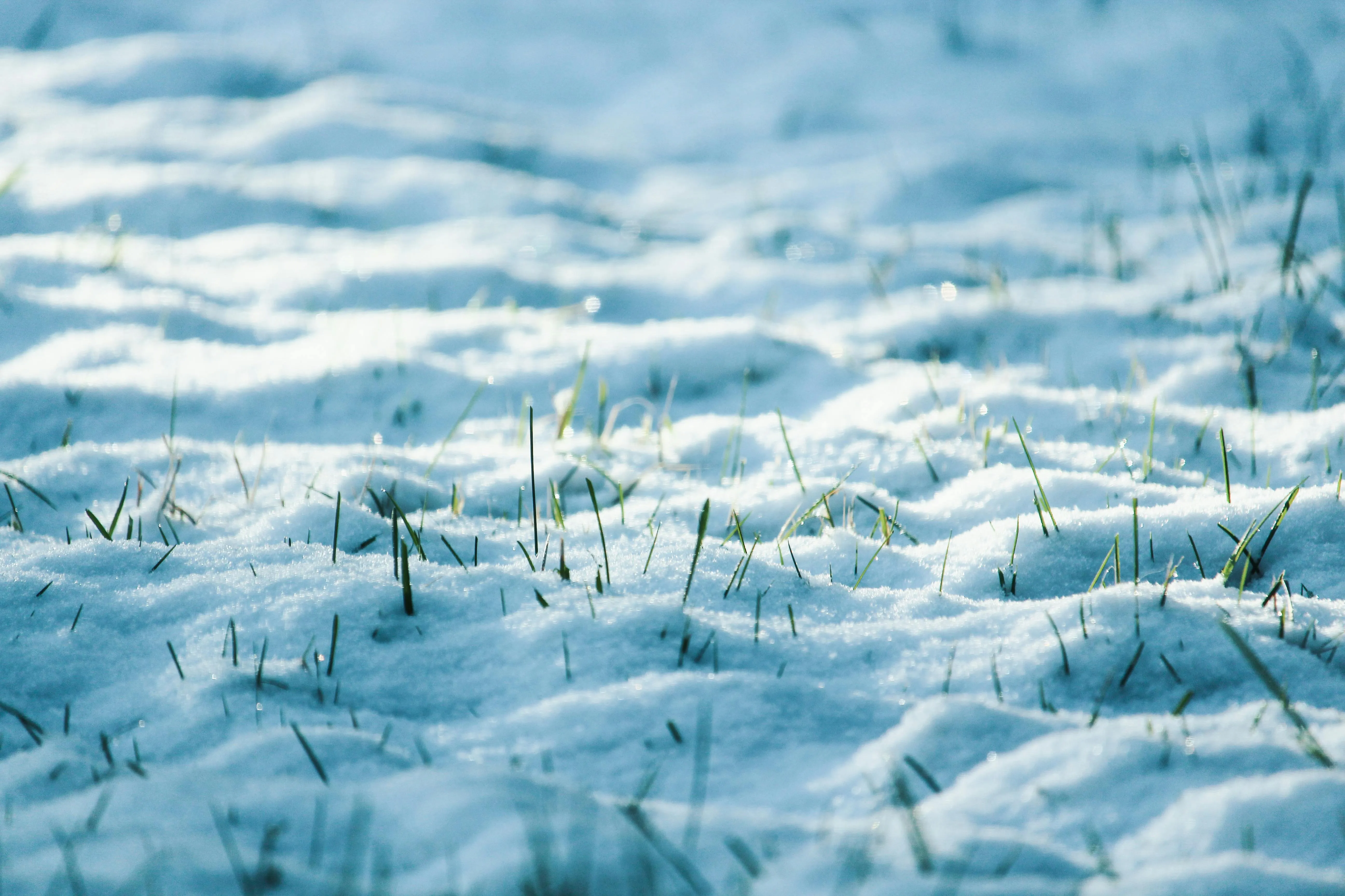 Tom Swinnen on Pexels