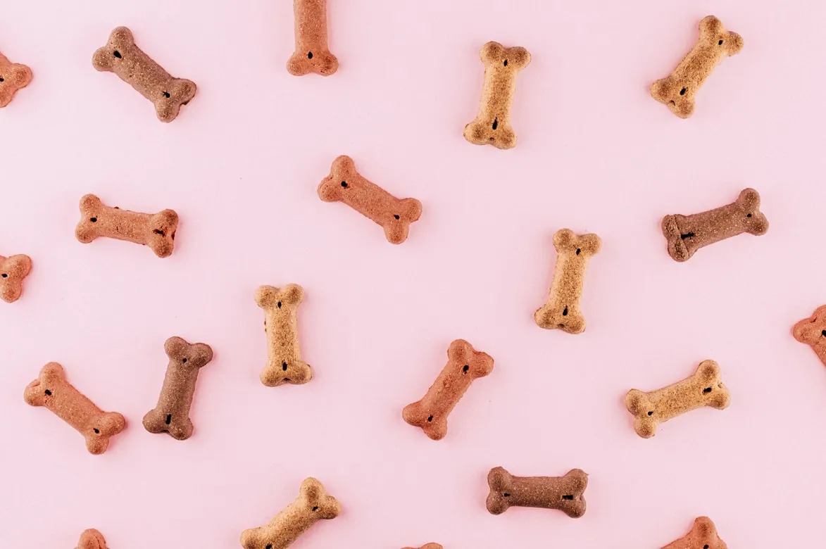 okeykat from Unsplash