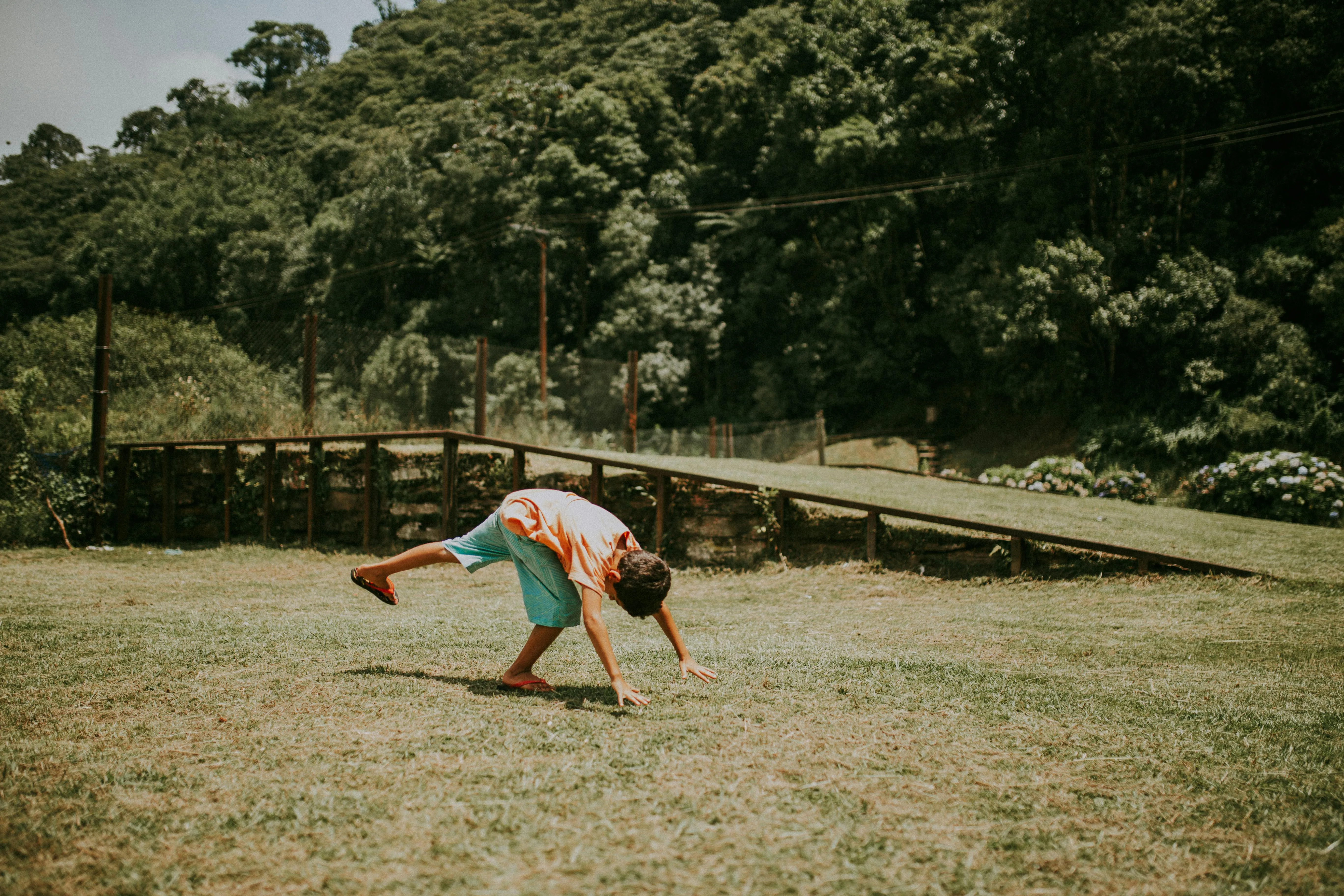 Matheus Bertelli on Pexels
