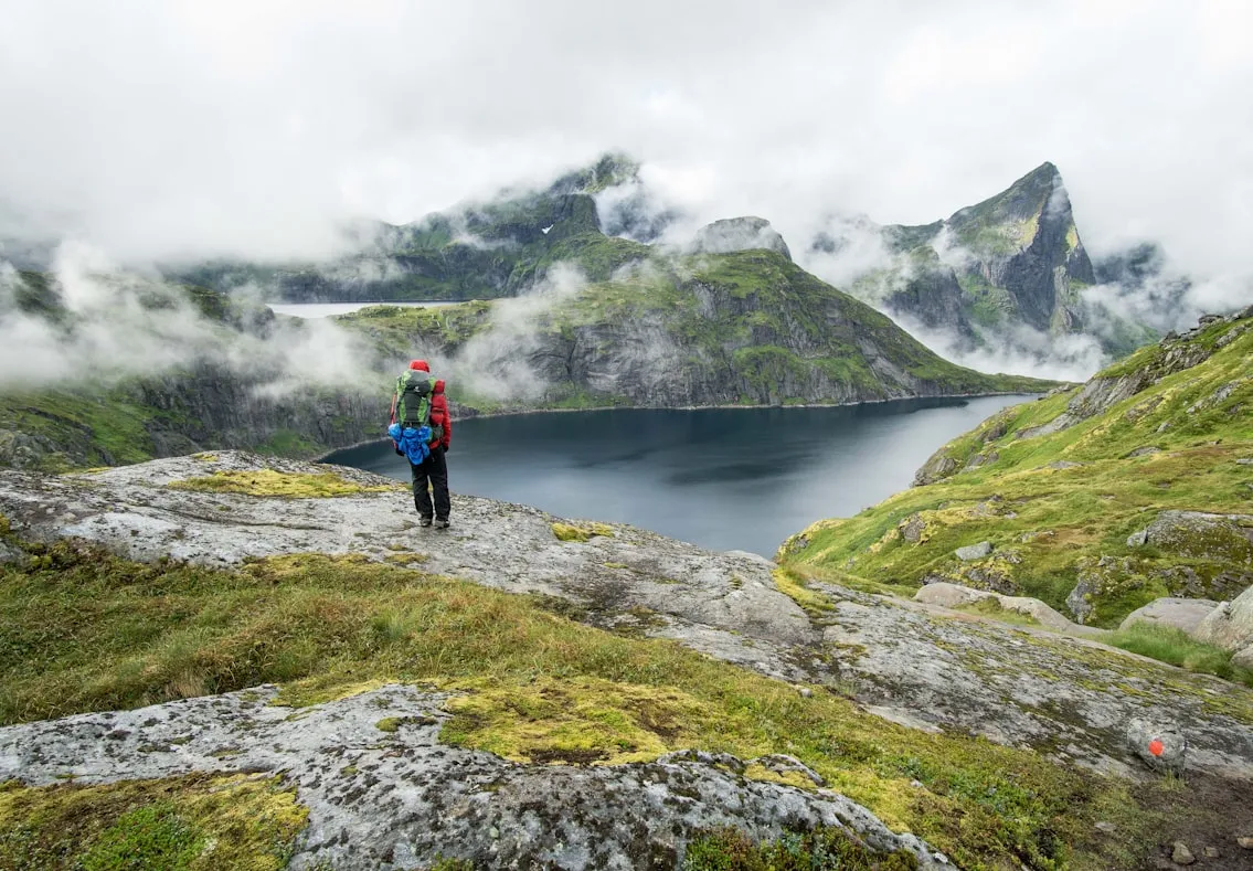 Colin Moldenhauer from Unsplash