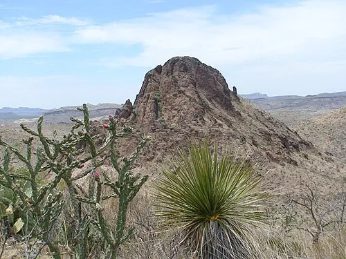 Image from Wikipedia